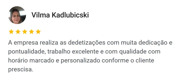 Avaliação no Google de Vilma Kadlubicski: dedicação, pontualidade e horário marcado conforme o cliente precisa